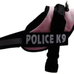 Arnes Police K9 Perros Mascotas Medianas Talla M