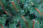 ARBOL DE NAVIDAD CON RAMAS DE DOS TONOS 210CM SDS60 - Imagen 2