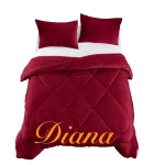 Cobertor De Invierno Plush Con Chiporro Plaza y media color Burdeo